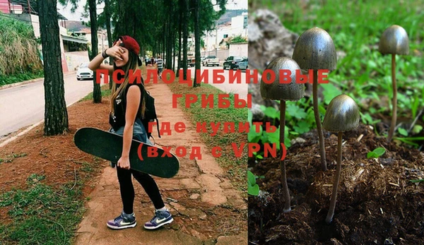 каннабис Арсеньев
