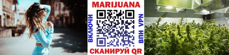 где найти наркотики  Ревда  Бошки Шишки White Widow 